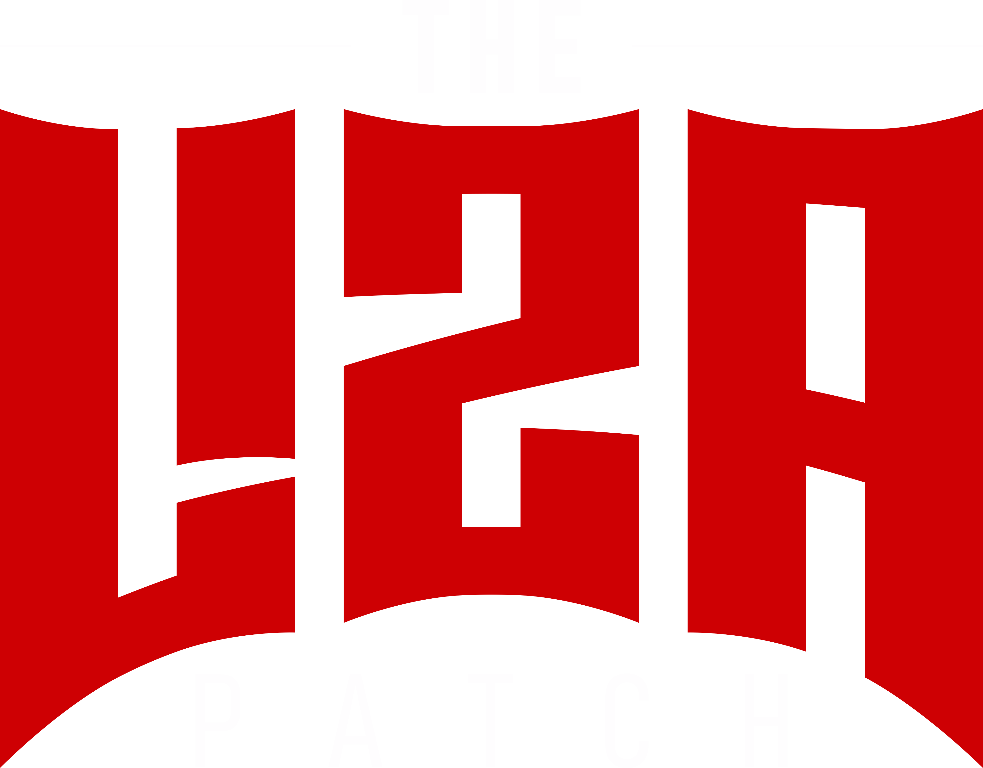 LizaPatch