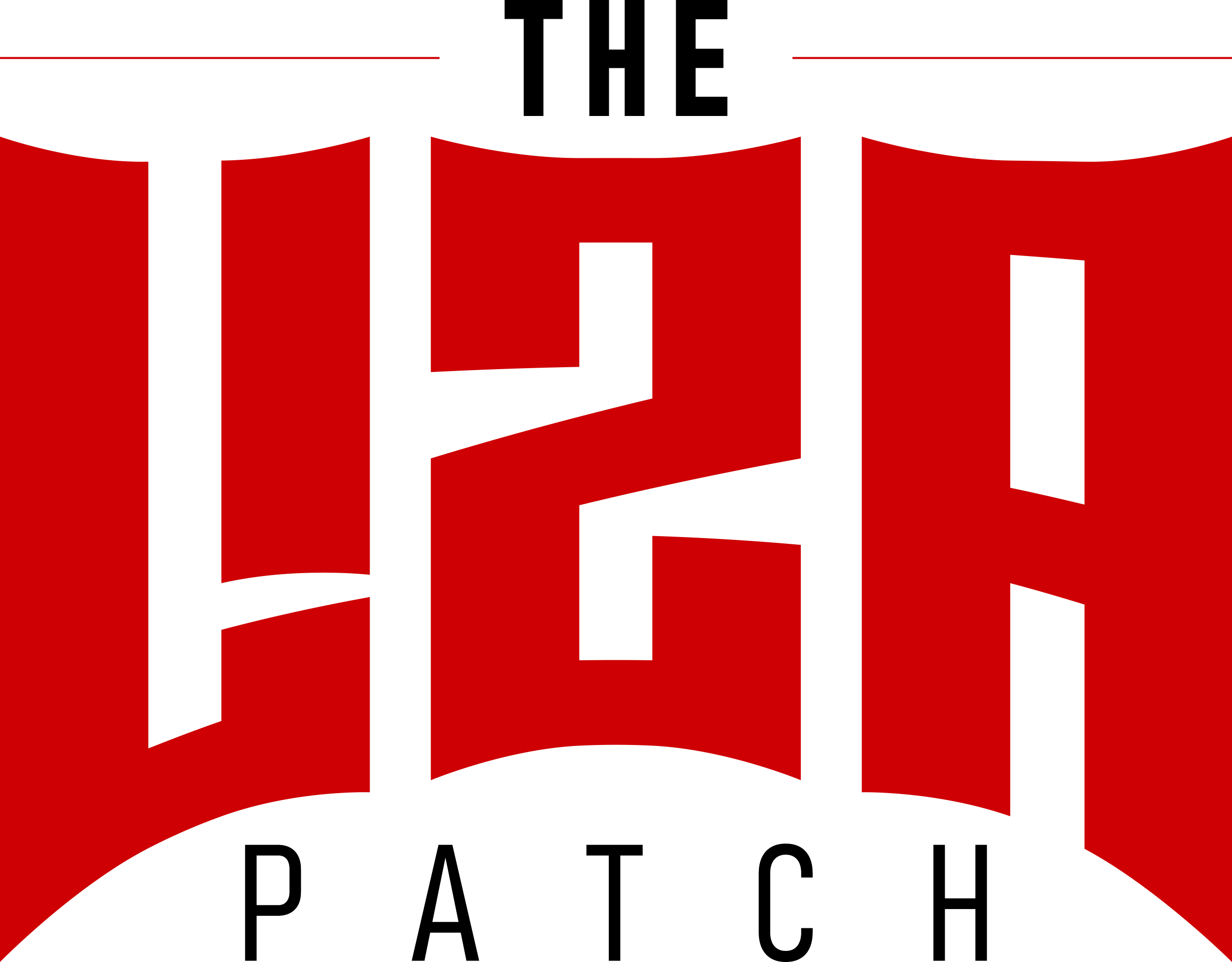 LizaPatch